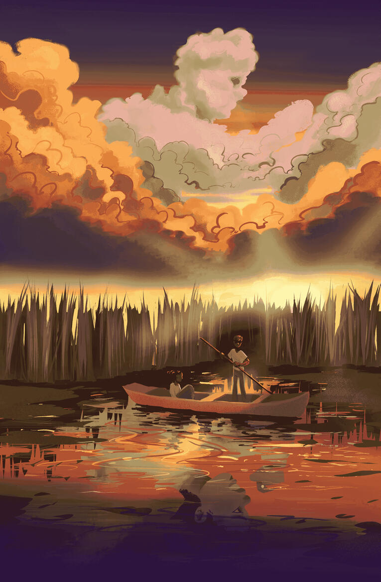 Cover without Trade Dress